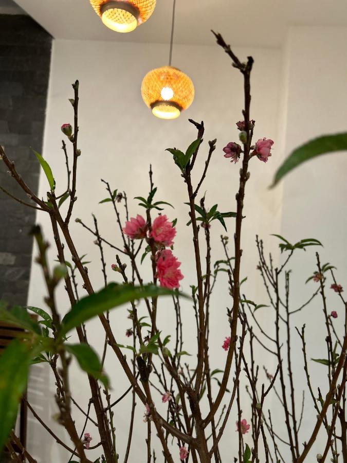 Vang Anh Homestay Hội An Extérieur photo